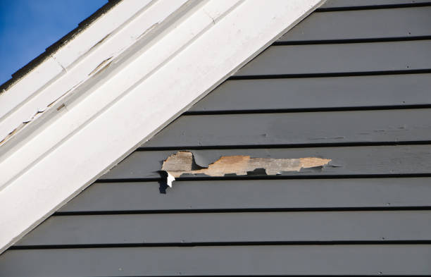 Shed Removal in Port Orchard, WA